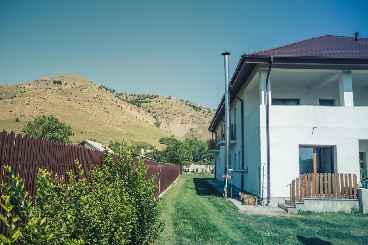 Pensiunea La Nenea Iancu Greci Extérieur photo