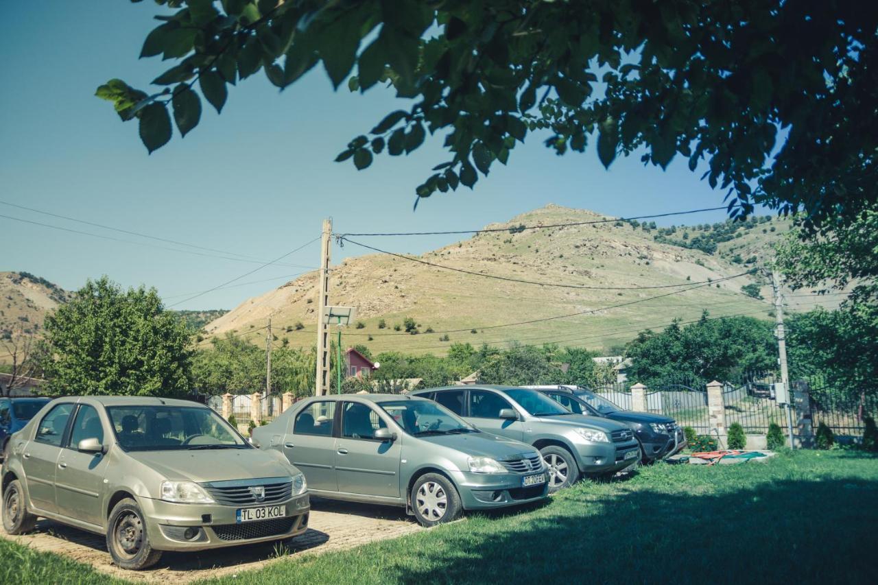 Pensiunea La Nenea Iancu Greci Extérieur photo