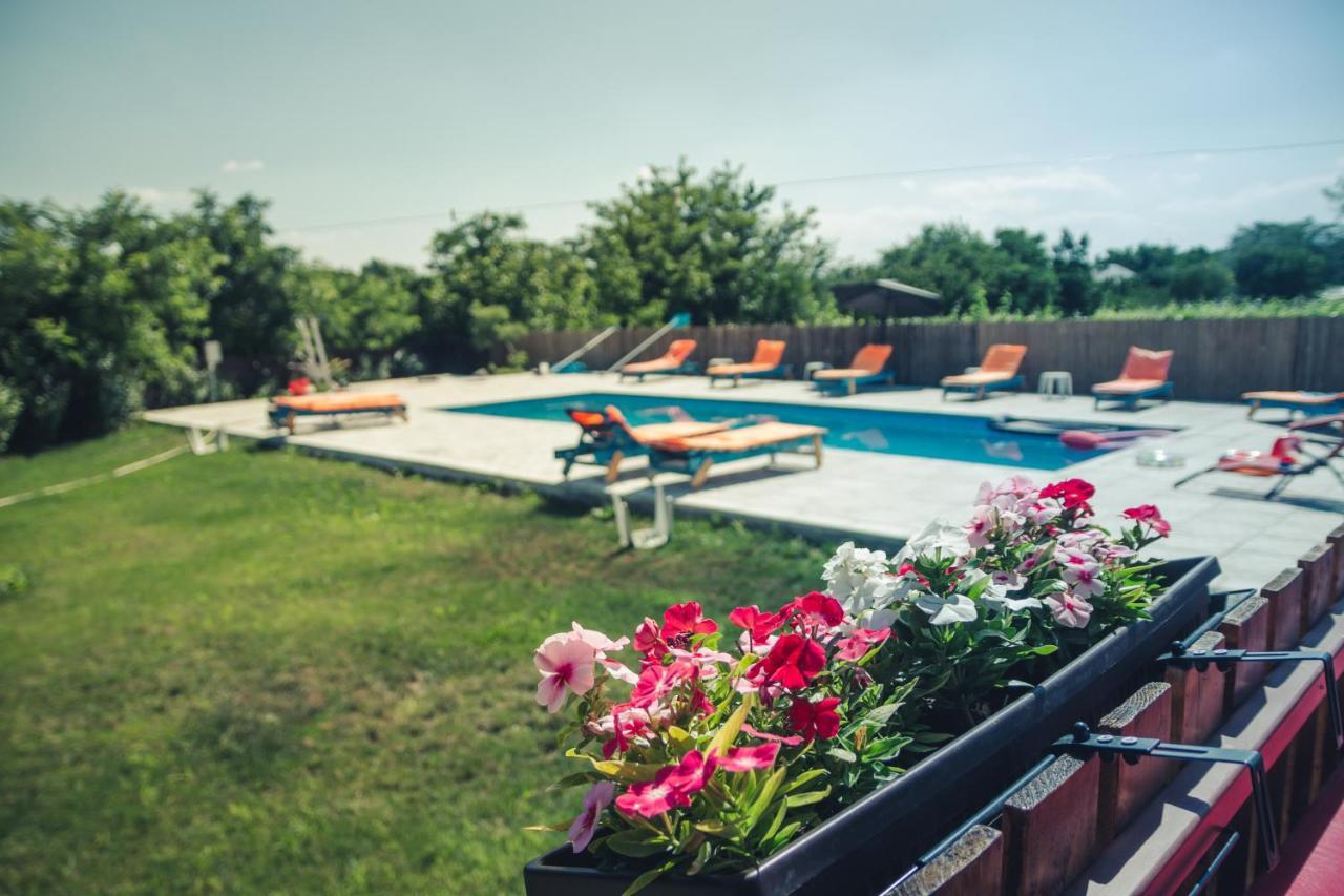 Pensiunea La Nenea Iancu Greci Extérieur photo